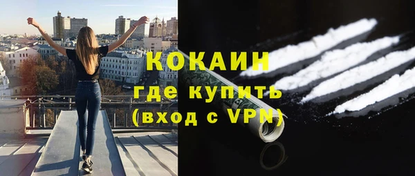 jwh Тайга