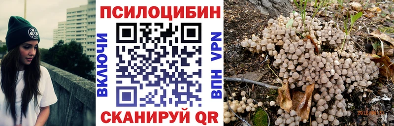 цены   Невьянск  Псилоцибиновые грибы Psilocybe 